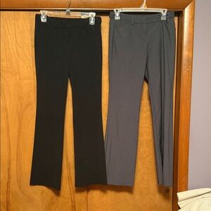 Joe B Women's Black and Gray Boot Cut Pants